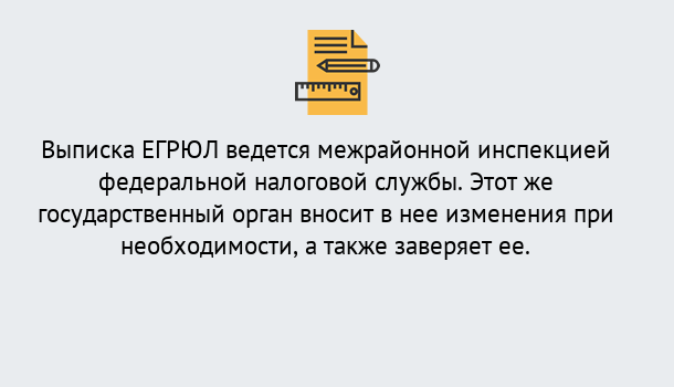 Почему нужно обратиться к нам? Домодедово Выписка ЕГРЮЛ в Домодедово ?