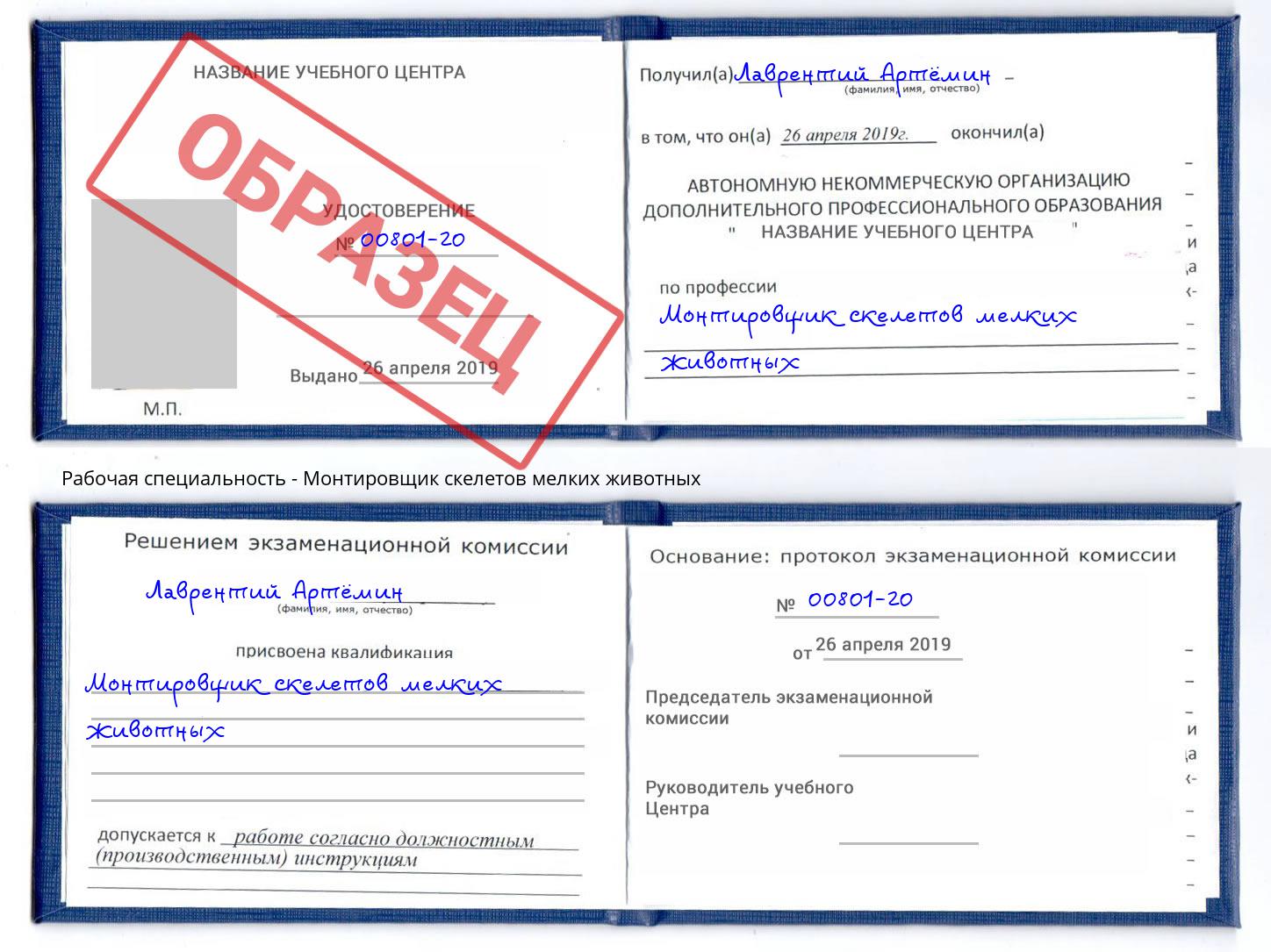 Монтировщик скелетов мелких животных Домодедово