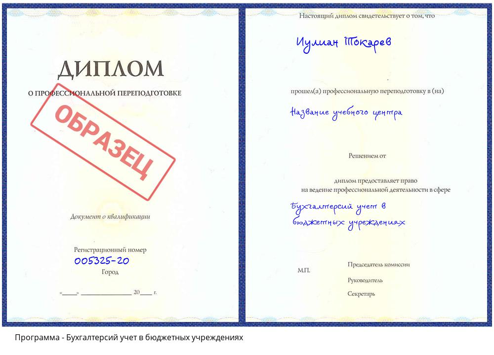 Бухгалтерсий учет в бюджетных учреждениях Домодедово