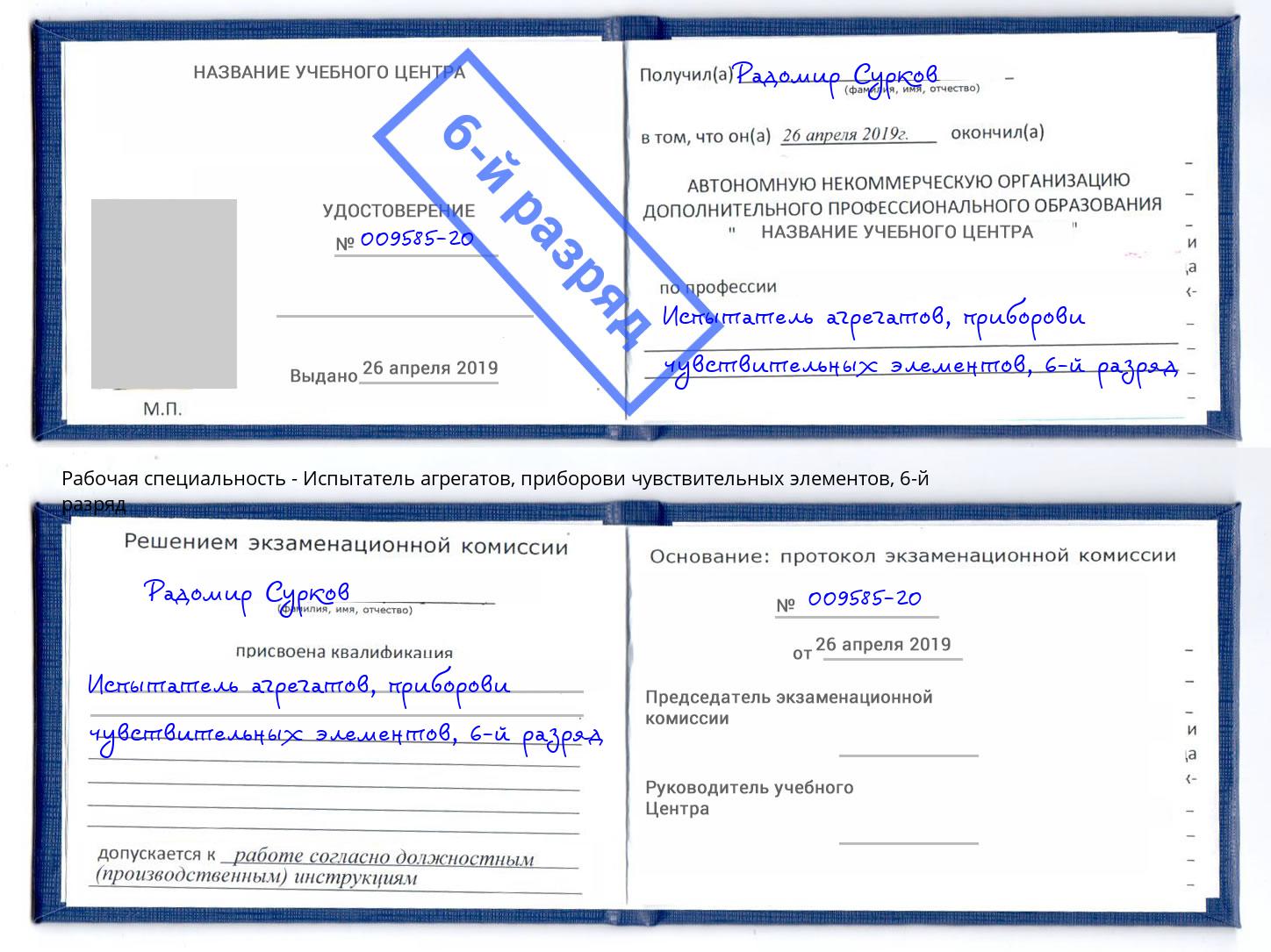 корочка 6-й разряд Испытатель агрегатов, приборови чувствительных элементов Домодедово