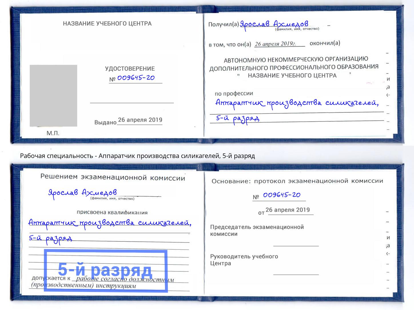 корочка 5-й разряд Аппаратчик производства силикагелей Домодедово
