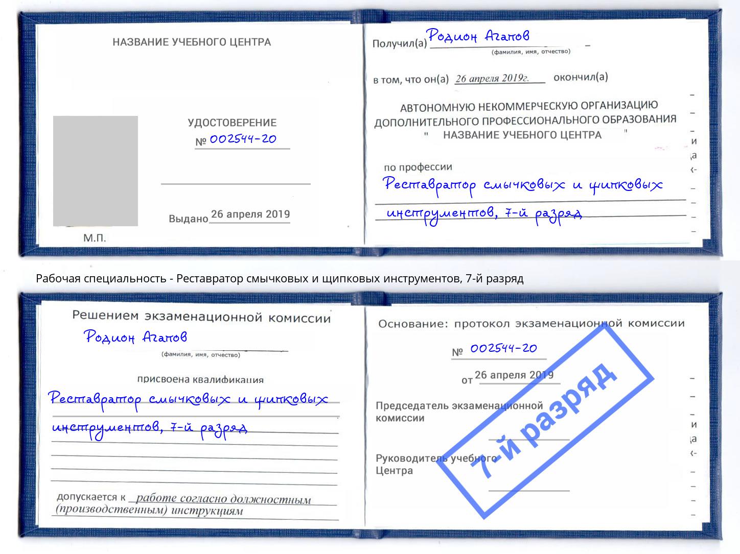 корочка 7-й разряд Реставратор смычковых и щипковых инструментов Домодедово