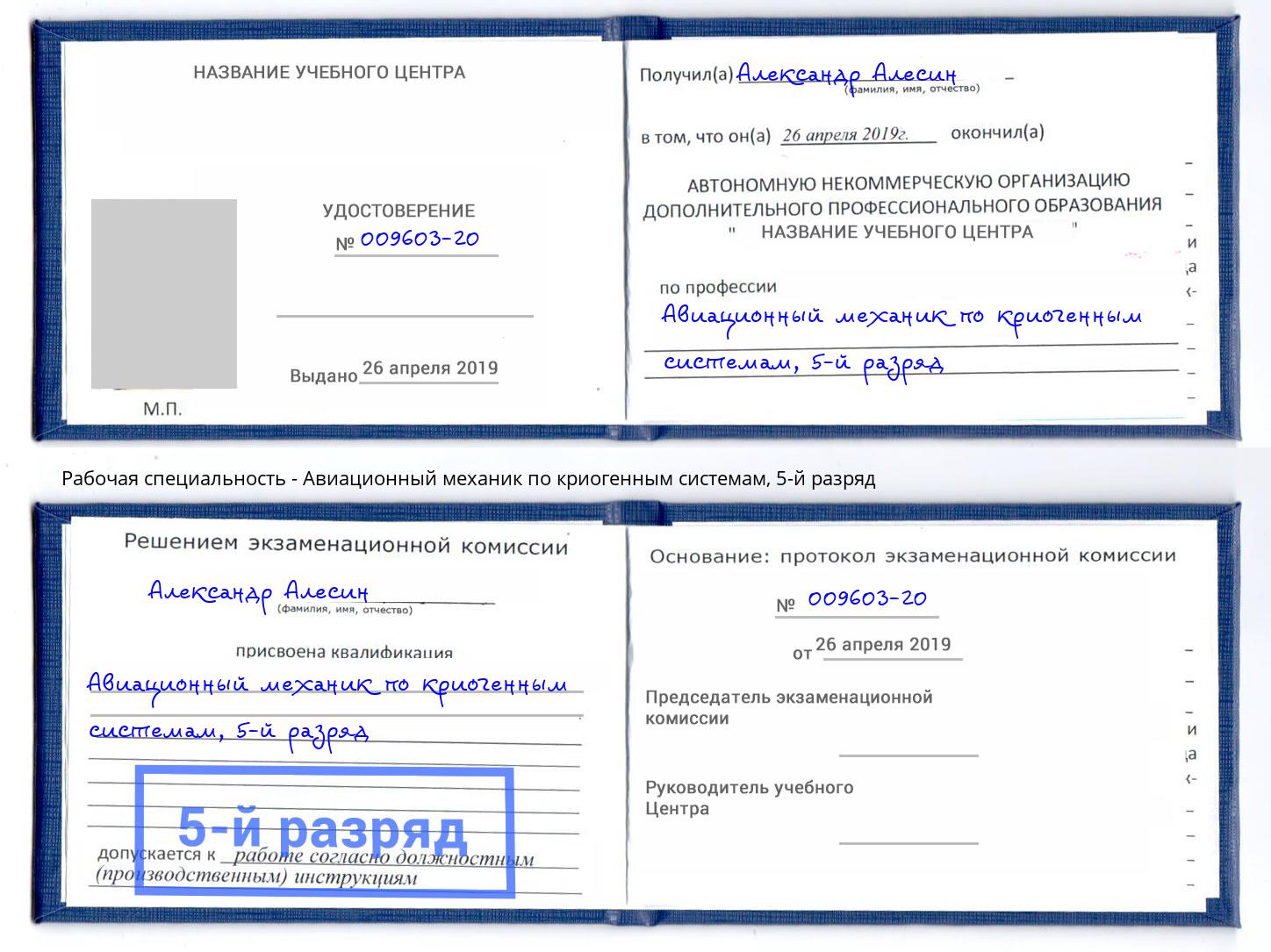 корочка 5-й разряд Авиационный механик по криогенным системам Домодедово