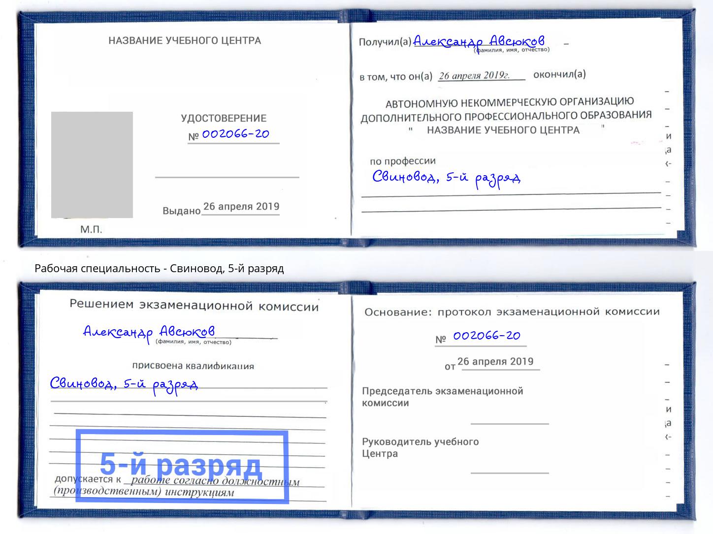 корочка 5-й разряд Свиновод Домодедово