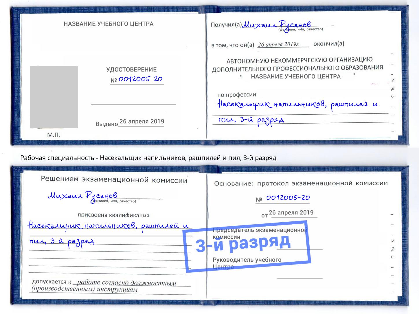 корочка 3-й разряд Насекальщик напильников, рашпилей и пил Домодедово