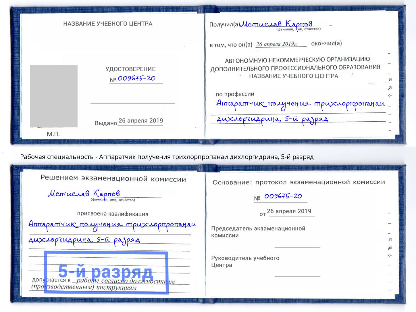 корочка 5-й разряд Аппаратчик получения трихлорпропанаи дихлоргидрина Домодедово