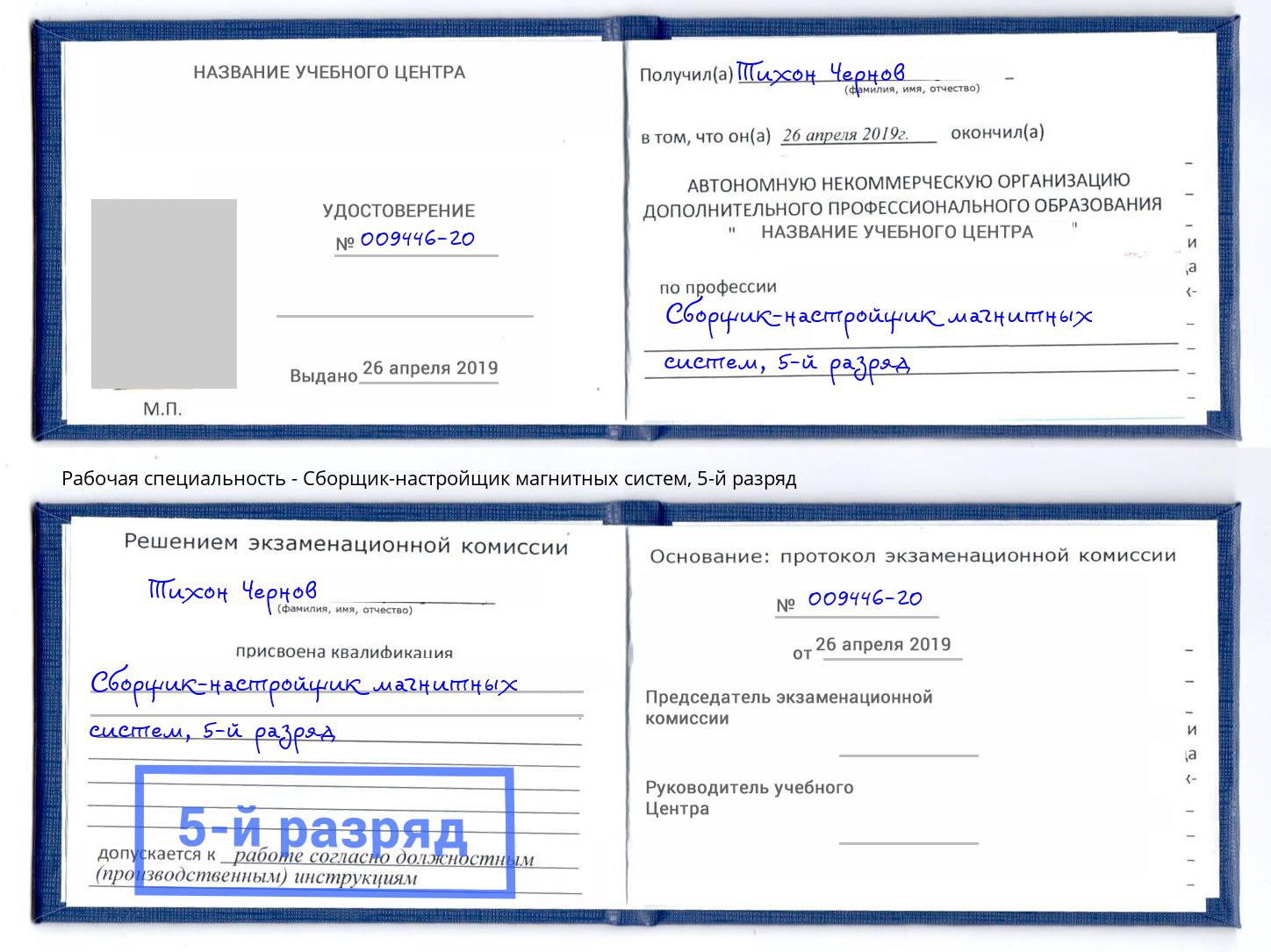 корочка 5-й разряд Сборщик-настройщик магнитных систем Домодедово